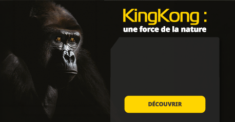 202607_Secobra_KingKong_Cultures