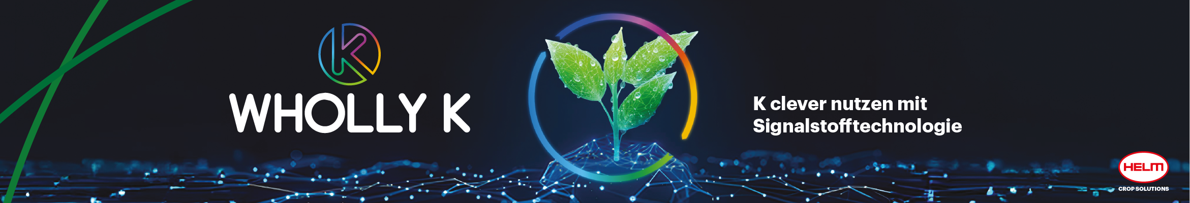 202604-HELM-DISPLAY-FULL-SITE