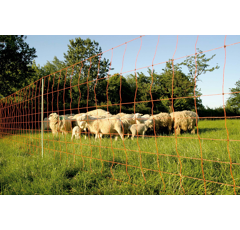 Euro-Netz Wolfsnetz JUMBO 106/2 Wildverbiss