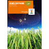Blé tendre d'hiver - KWS Extase