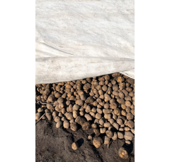 Bâche respirante de protection pour pommes de terre – Anti-pluie & anti-gel – TOPTEX