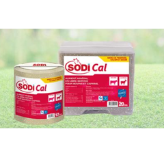SODI CAL - Mineralleckstein mit Spurenelementen -12kg od. 20kg