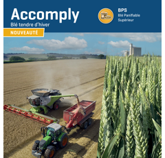 Blé tendre d'hiver - Accomply