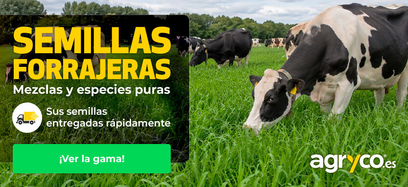 AGRYCO_SEEDS_semillas-forrajeras_150926