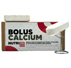 BOLUS CALCIUM - 12 unités - Fièvre de lait | NutriGO