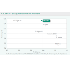 Saatmais - Crosbey (S210 K210) DSV