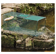 Boîte à fauve pour ragondins 82 x 31 x 31 cm - BOXTRAP