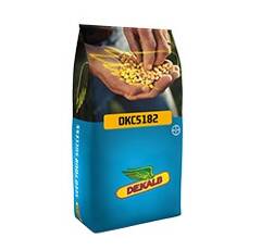 DKC 5182 - Maïs 520 - G5 : Grain tardif