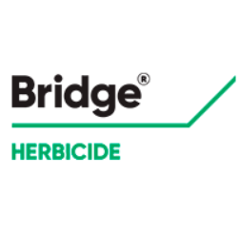 BRIDGE - Rimsulfuron