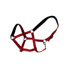 Nylon-Halfter - gepolstert für Pony - Gr. 1 - verschiedene Farben