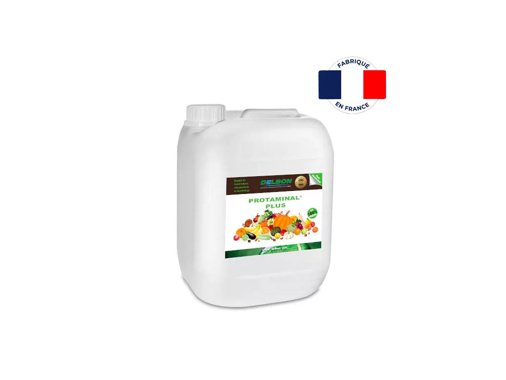 Acides aminés : Protaminal® Plus
