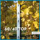 Voestalpine LEOVA® TOP 60/40, galvanisé en continu Z350
