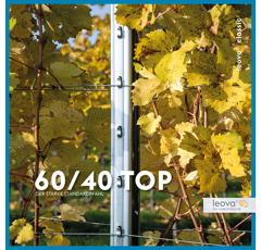 Voestalpine LEOVA® TOP 60/40, galvanisé en continu Z350