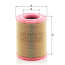 MANN  Luftfiltereinsatz C298402