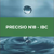 PRECISIO N18 - IBC