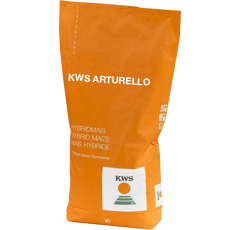 Saatmais - Arturello (S260 K240) | KWS