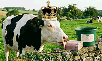 AGRICO_NUTRITION_seaualecher_261225