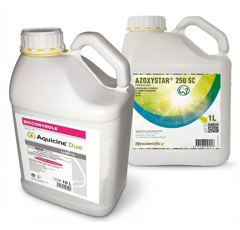 Pack AQUICINE DUO (1 x 10L) + AZOXYSTAR 250 SC (3 x 1L) | Fongicide