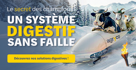 AGRICO_NUTRITION_solutionDigestif_010226