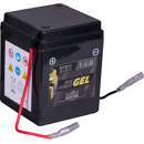 Motorradbatterie 6 V 4 AH   Bike Power