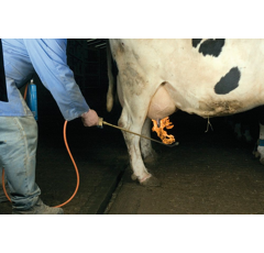 Epilateur lance thermique complet