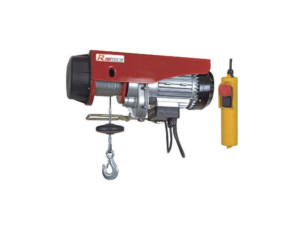 Palan Électrique 230V 480W Charge 100 kg / 200 kg — free download