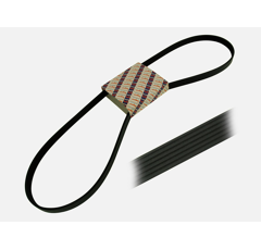 Courroie pour tracteur CASE IH L115661 adaptable