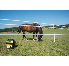 Poste mixte  12 V - 230 V Ranger AN2000 - HORIZONT