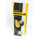 Famulus | Hybrider Winterraps