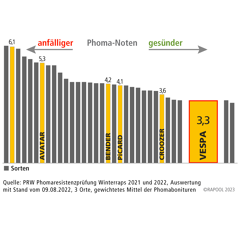 Vespa | Hybrider Winterraps