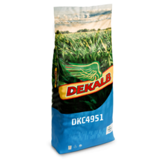 Maïs grain 480 - DKC4951