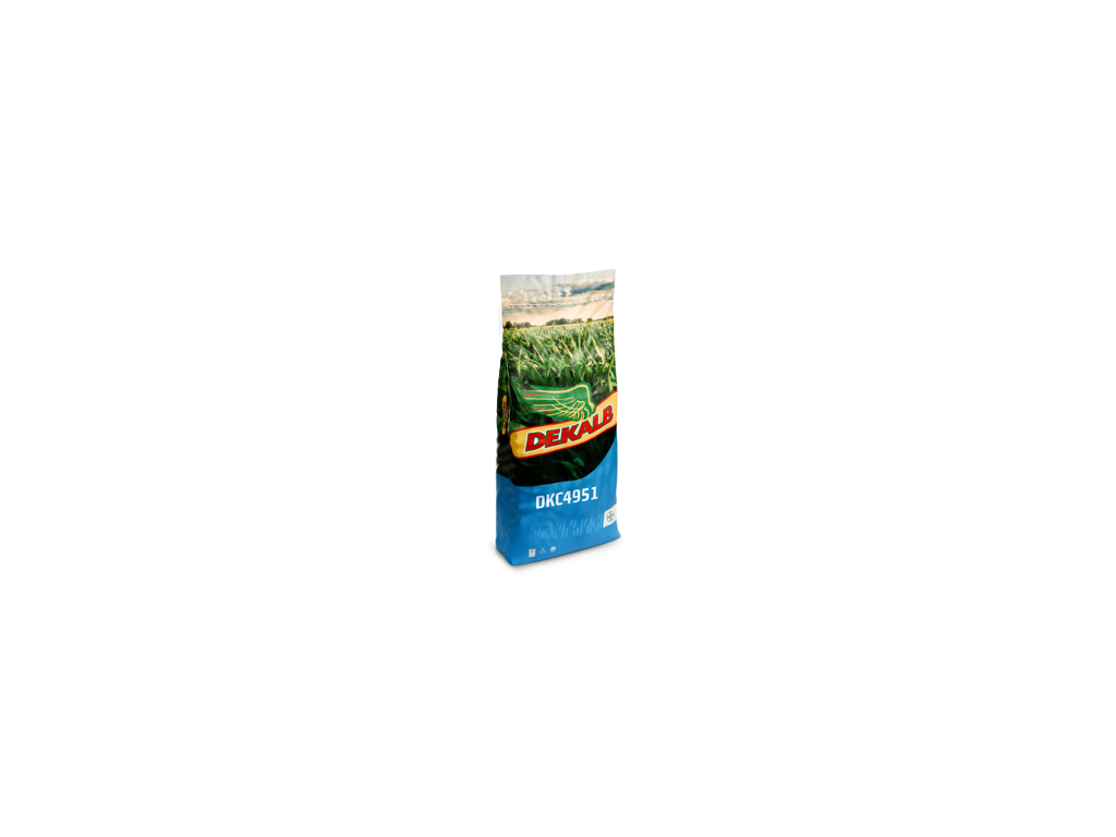 ma-s-grain-480-dkc4951
