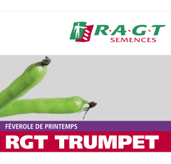 Féverole protéagineuse de printemps - RGT Trumpet