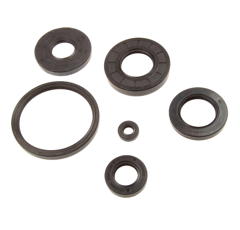 Wellendichtring 110x130x13 SL 11013013SL