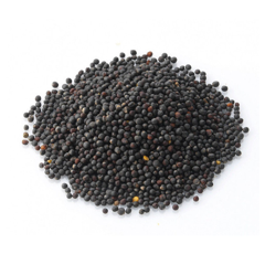 Winterrübsen - MALWIRA