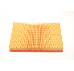 MANN  Luftfiltereinsatz C311521