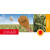 Triticale - Jokari - BIO