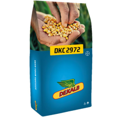 Saatmais - DKC2972 (S220 K210) DEKALB