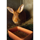 Mangeoire plastique rectangulaire simple 500 ml - CHICK'A