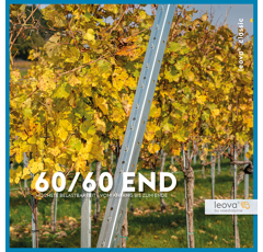 LEOVA® 60/60 END - Endpfahl - Bandverzinkt Z275