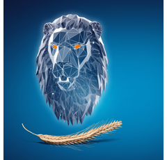 KWS Tayo BIO - Hybrider Winterroggen