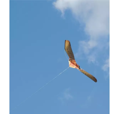 Oiseau effaroucheur faucon 970x470 mm | EOLO