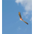 Oiseau effaroucheur faucon 970x470 mm | EOLO