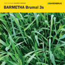 Méteil méthanisation - BARMETHA Brumal 3s