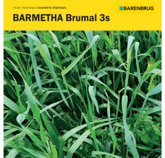 Méteil méthanisation - BARMETHA Brumal 3s