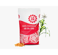 Maïs ensilage 230 - LG 31.232