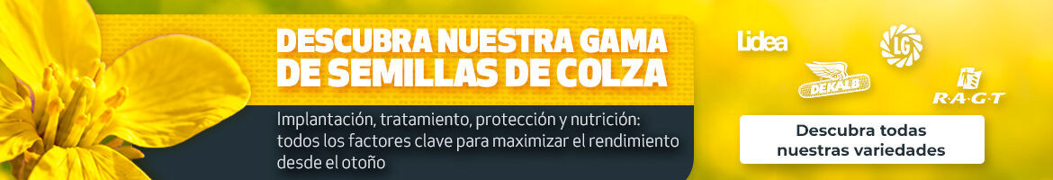 AGRYCO_SEEDS_COLZA_280726