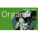 Féverole d'hiver - Organdi