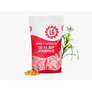 Maïs ensilage 220 - LG 31.207 - BIO