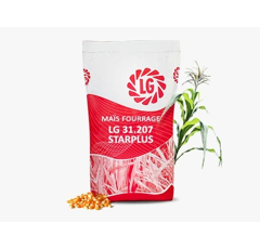 Saatmais - LG 31.207 ÖKO (S210) LIMAGRAIN